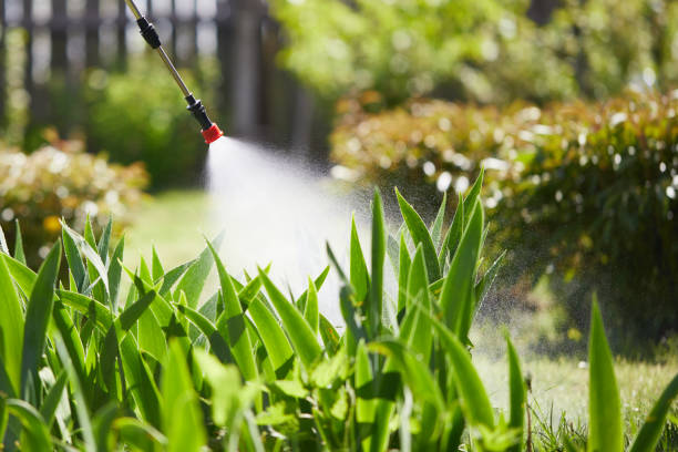 Tamper-Resistant Bait Stations for Rodents in Delshire