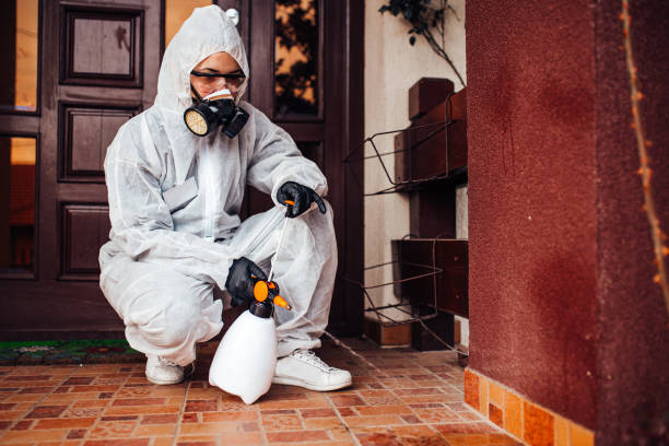 Attic and Crawl Space Rodent Treatment in Delshire