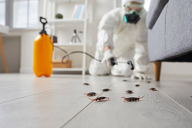 Commercial Rodent Management in Delshire
